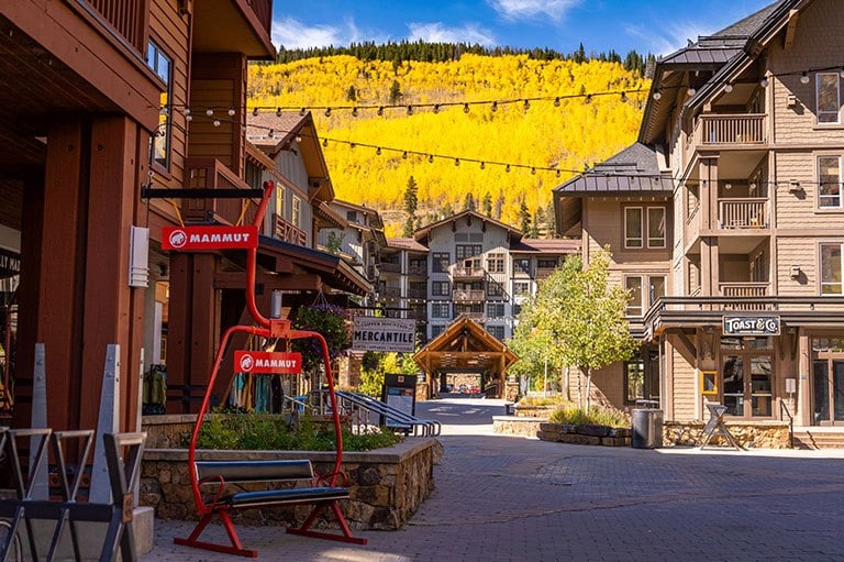 Pet Friendly Copper Mountain